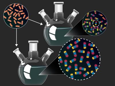 Illustration of experiments to produce novel nanoparticles